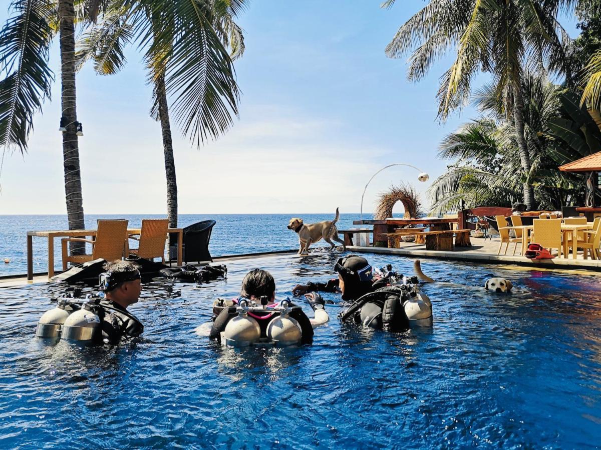 Villa Alba Bali Dive Resort Tulamben Zewnętrze zdjęcie