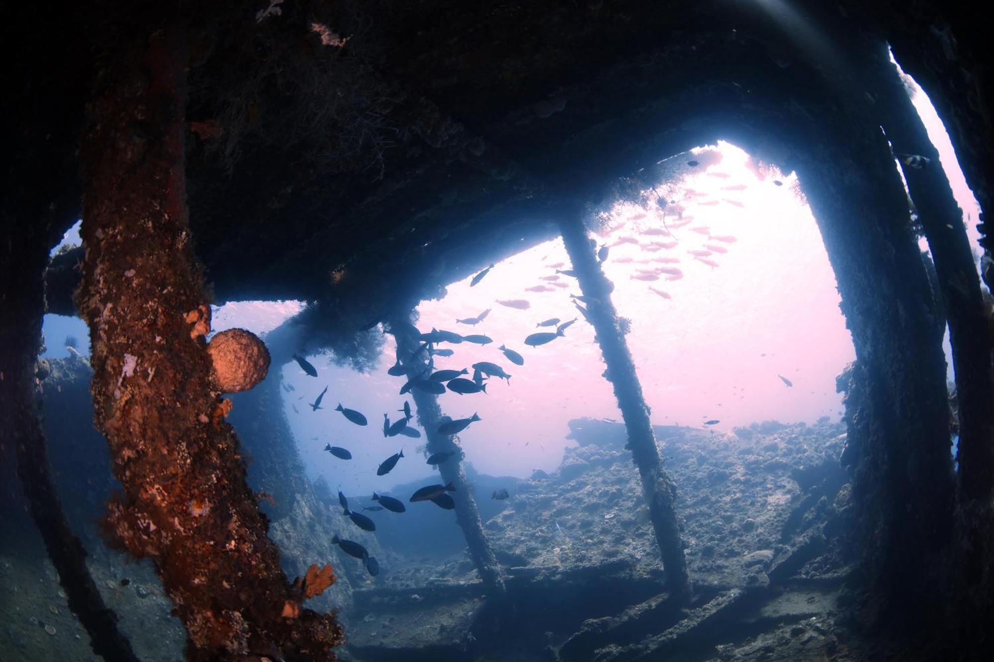 Villa Alba Bali Dive Resort Tulamben Zewnętrze zdjęcie